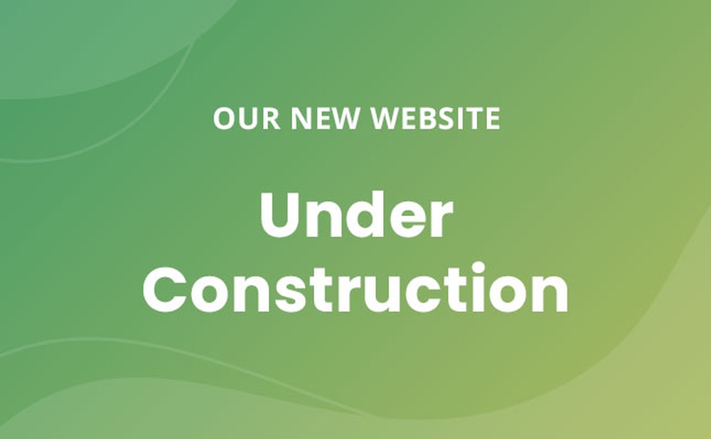 Pandanavian Consultants' New Website Under Construction